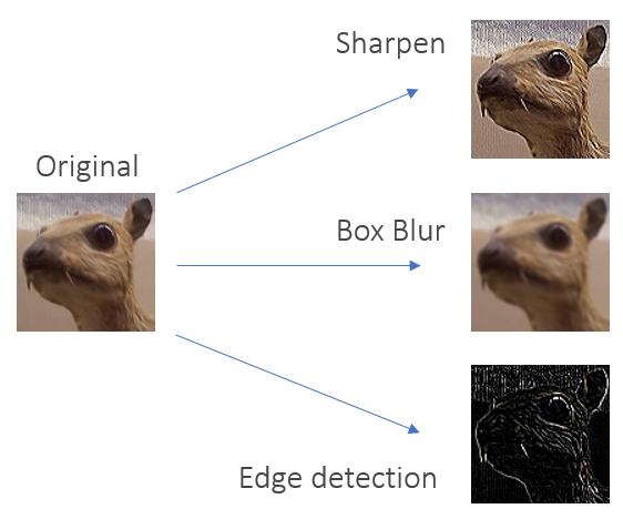 Orignal with Outputs